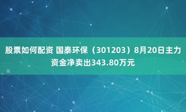 股票如何配资 国泰环保（301203）8月20日主力资金净卖出343.80万元